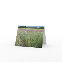 SCN SCN Ste. Croix Savannah - Prairie