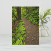 Carte De Remerciements Sentier à travers la forêt (Debout devant)