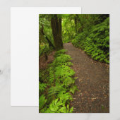 Carte De Remerciements Sentier à travers la forêt (Devant / Derrière)