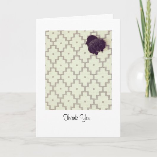 Carte De Remerciements Sentier pour animaux (Devant)