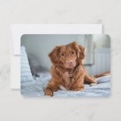 Carte De Remerciements Série simple à deux photos (Dos)