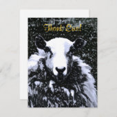 CARTE DE REMERCIEMENTS SHEEP (Devant / Derrière)