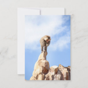 Carte De Remerciements Singe babouin au sommet d'une montagne