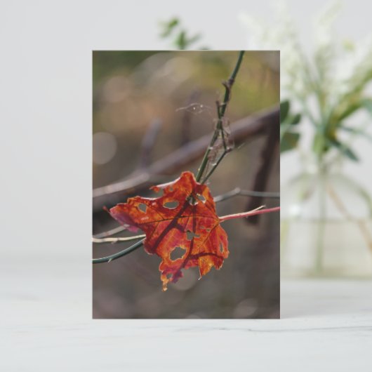 Carte De Remerciements Single Red Leaf (Debout devant)