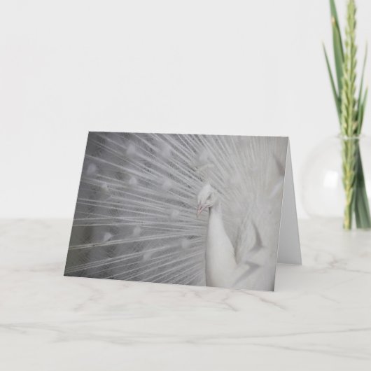 Carte De Remerciements SnowPeacock (Devant)