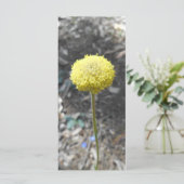 Carte de remerciements Solar Punk (Debout devant)