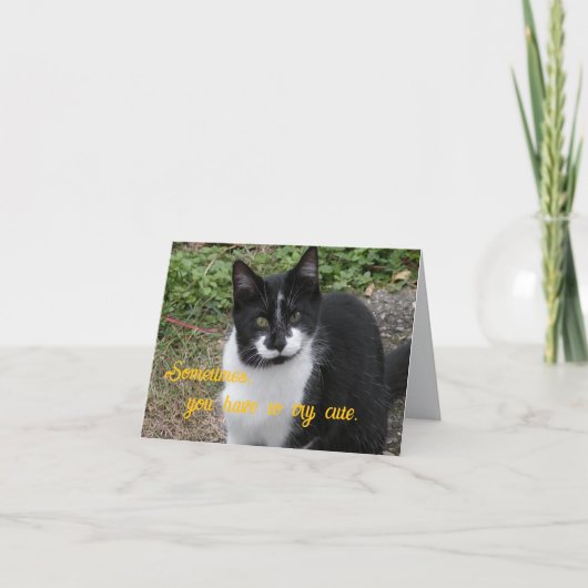 Carte De Remerciements Sometimes, you have to try cute. (Devant)