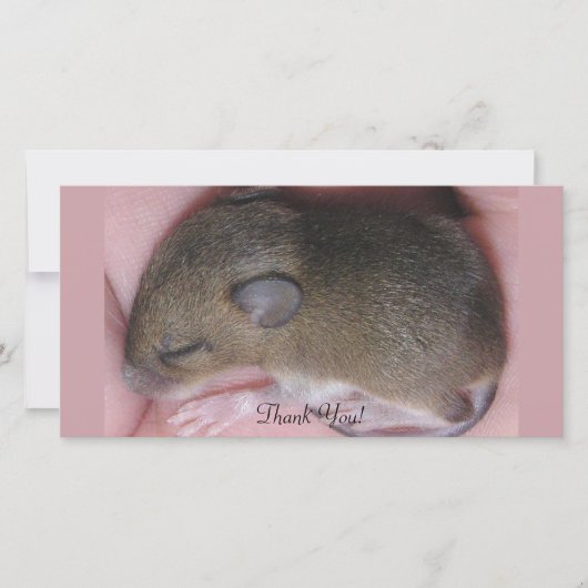 Carte De Remerciements Souris minuscule de bébé avec des sommeils mignons (Devant)