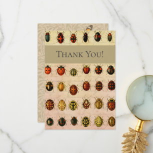 Carte De Remerciements Spécimen de coccinelle vintage Motif Insecte antiq
