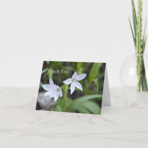 Carte De Remerciements Spring Beauty