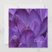 Carte De Remerciements Spring Crocus Flower Photography (Devant)