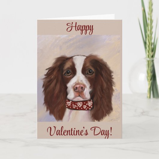 CARTE DE REMERCIEMENTS SPRINGER SPANIEL ANGLAIS        (Devant)