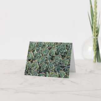Carte de remerciements Succulent