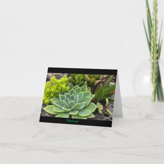 Carte De Remerciements Succulent (Devant)
