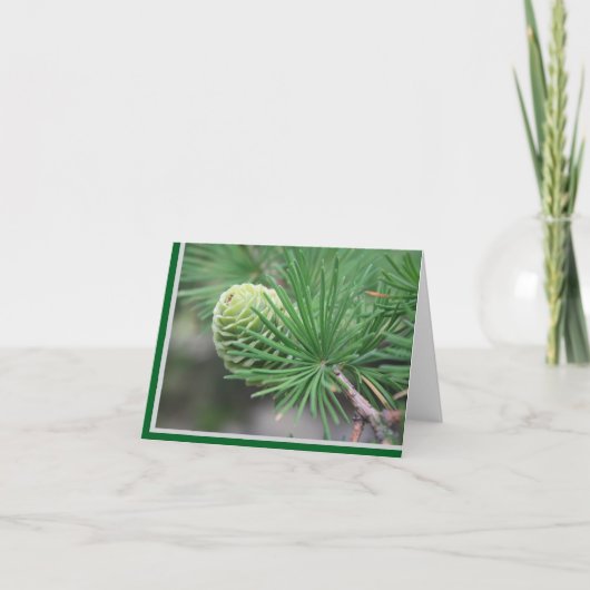 Carte De Remerciements Summer Pine Cone Note Card (Devant)