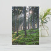 Carte De Remerciements Sunbeams dans la Forêt-Noire (Debout devant)