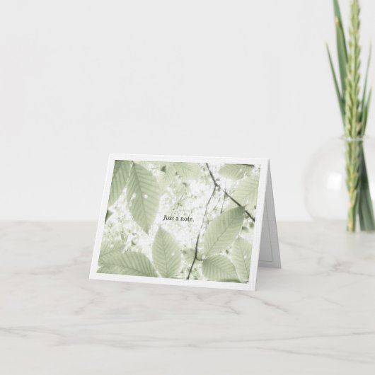 Carte De Remerciements Sunlit leaves in New Hampshire (horizontal) (Devant)