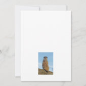 Carte De Remerciements Suricate (Dos)