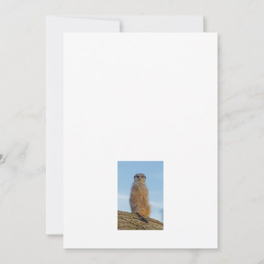 Carte De Remerciements Suricate (Dos)