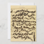 Carte De Remerciements Symphonie de chat par Moritz von Schwind (Devant)