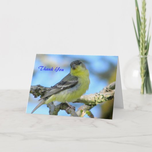 Carte De Remerciements Thank You (Devant)