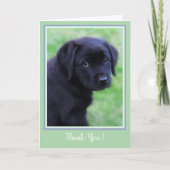 Carte De Remerciements Thank You Black Labrador Puppy (Devant)