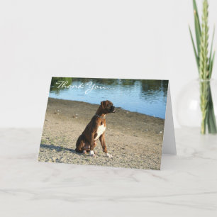 Carte De Remerciements Thank You Boxer Puppy Greeting card