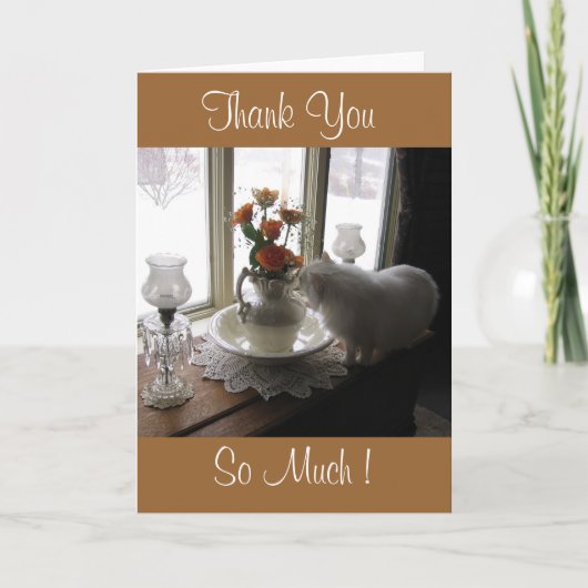 Carte De Remerciements Thank You Bugsy/orange roses (Devant)