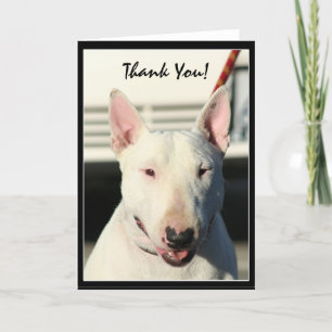 Carte De Remerciements Thank you Bull Terrier greeting card