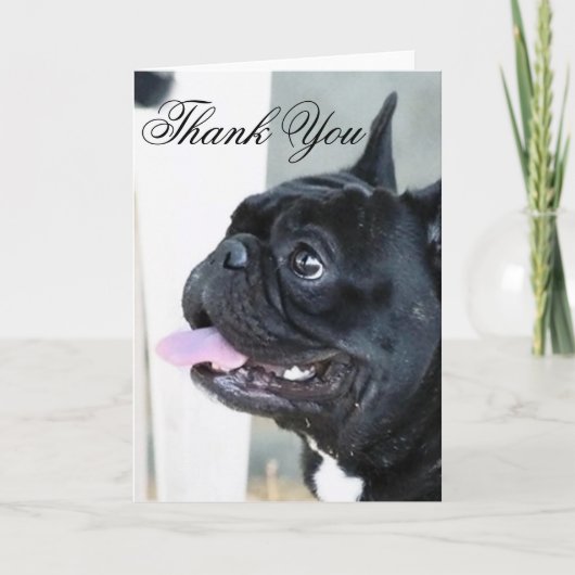 Carte De Remerciements Thank You French Bulldog (Devant)