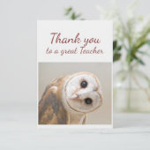 Carte De Remerciements Thank You Fun Curious Barn Owl Bird Teacher (Debout devant)