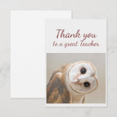 Carte De Remerciements Thank You Fun Curious Barn Owl Bird Teacher (Devant / Derrière)