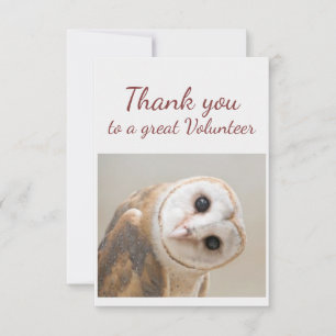 Carte De Remerciements Thank You Fun Curious Barn Owl Bird Volunteer