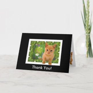 Carte De Remerciements Thank you Kitten