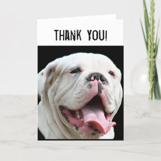 Carte De Remerciements Thank You White Bulldog greeting card