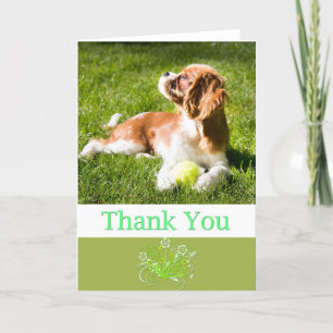 Carte De Remerciements Thank You With Puppy Cavalier King Charles Card