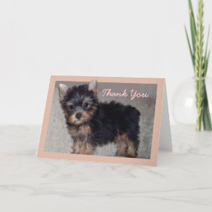 Carte De Remerciements Thank You Yorkshire puppy greeting card