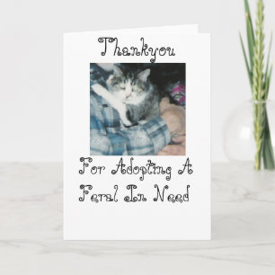 Carte De Remerciements Thankyou-Feral Cat