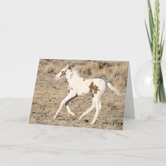 Carte De Remerciements Thora de McCullough Peaks (Devant)