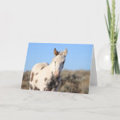 Carte De Remerciements Thora de McCullough Peaks (Devant)