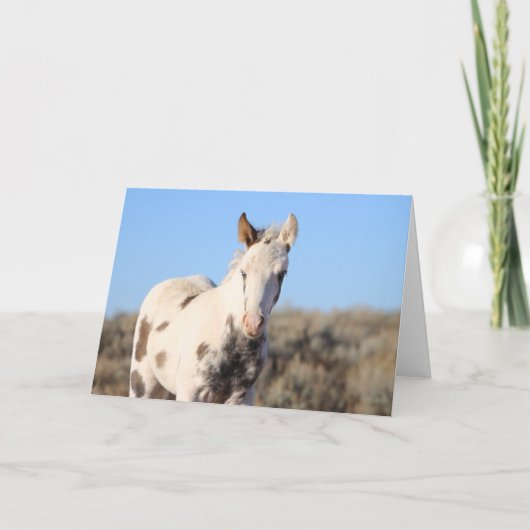 Carte De Remerciements Thora de McCullough Peaks (Devant)