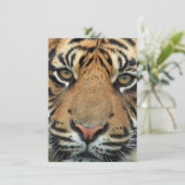 Carte De Remerciements Tiger face (Debout devant)