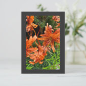 Carte De Remerciements Tiger Lily (Debout devant)