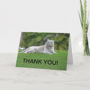 Carte De Remerciements Tigre Blanc se Reposant dans une Douce Lumière de 