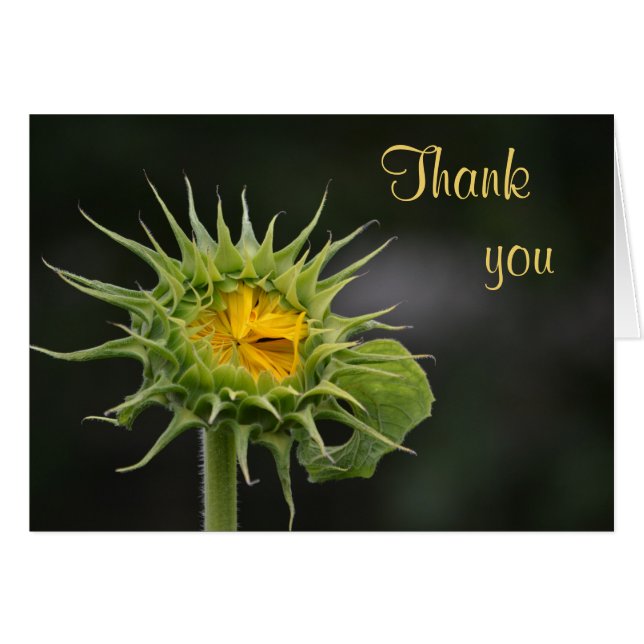 Carte de remerciements tournesol (Devant horizontal)