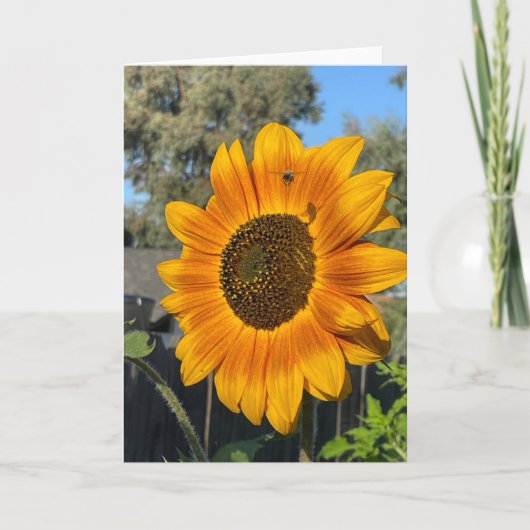 Carte De Remerciements Tournesol (Devant)
