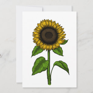 Carte De Remerciements Tournesol