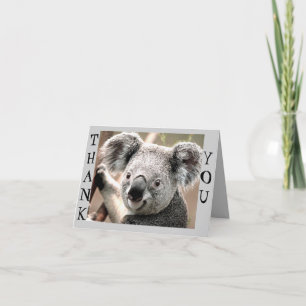 Carte De Remerciements Toutes les occasions, Koala Bear_