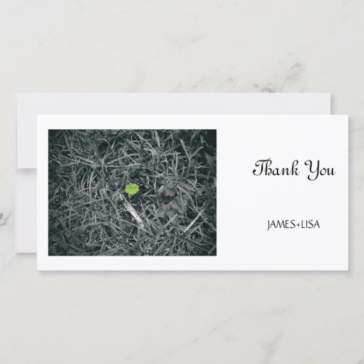 Carte De Remerciements trèfle chanceux (Devant)