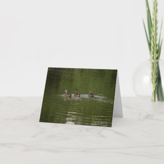 Carte De Remerciements Trio de canards (Devant)